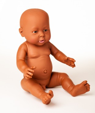 Αγοράκι Αφρικάνος Αγοράκι Αφρικάνος