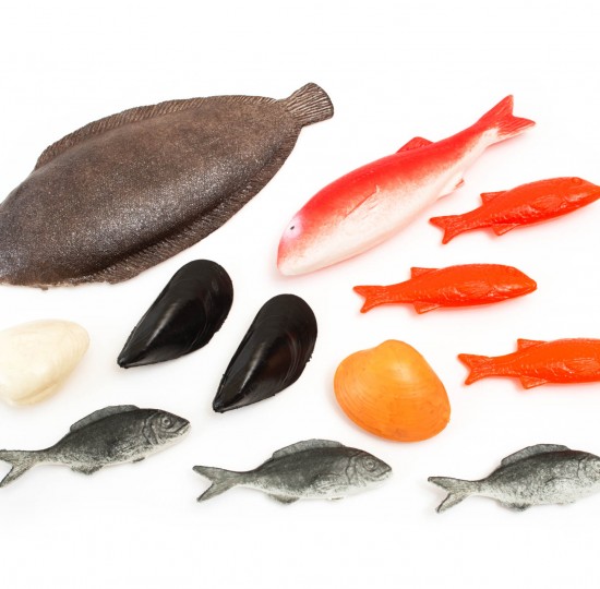 Ποικιλία θαλασσινών