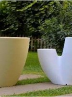 Πολυεστερικό Βάζο Cactus